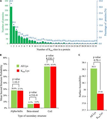 Proteome-Wide Analysis of Lysine 2-Hydroxyisobutyrylation in the Phytopathogenic Fungus Botrytis cinerea